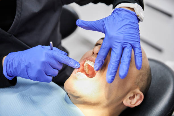 Best Affordable Emergency Dental Care  in Stryker, OH